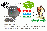 歯ブラシ バイオ洗浄液　ブラシグリーン携帯用(BRUSH GREEN)