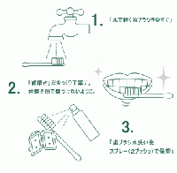 歯ブラシ バイオ洗浄液　ブラシグリーン携帯用(BRUSH GREEN)